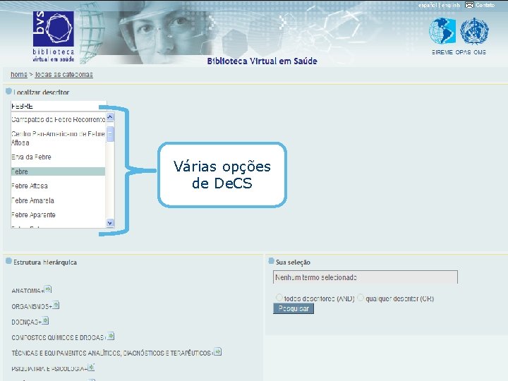 Várias opções de De. CS 