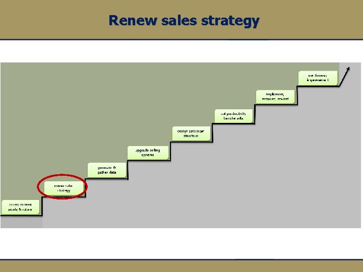 Renew sales strategy 