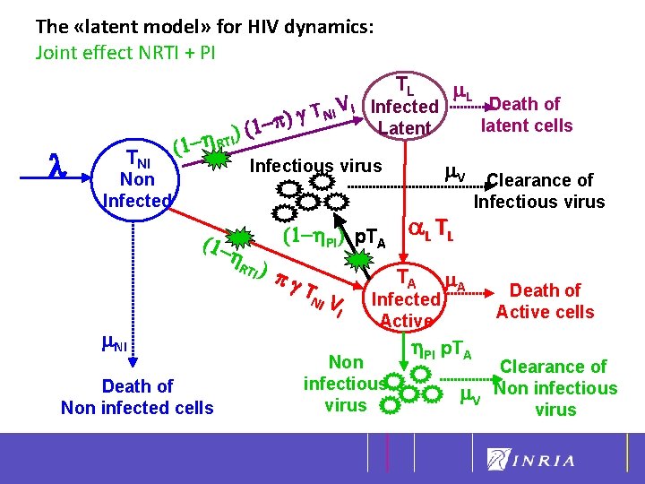 The «latent model» for HIV dynamics: Joint effect NRTI + PI TL l V