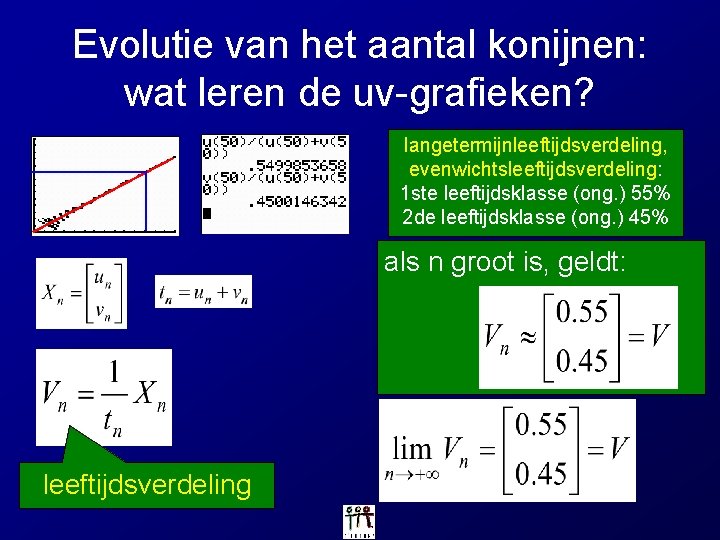 Evolutie van het aantal konijnen: wat leren de uv-grafieken? langetermijnleeftijdsverdeling, evenwichtsleeftijdsverdeling: 1 ste leeftijdsklasse Evolutie van het aantal konijnen: wat leren de uv-grafieken? langetermijnleeftijdsverdeling, evenwichtsleeftijdsverdeling: 1 ste leeftijdsklasse