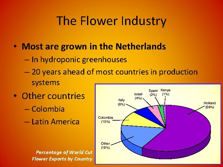 The Flower Industry • Most are grown in the Netherlands – In hydroponic greenhouses The Flower Industry • Most are grown in the Netherlands – In hydroponic greenhouses