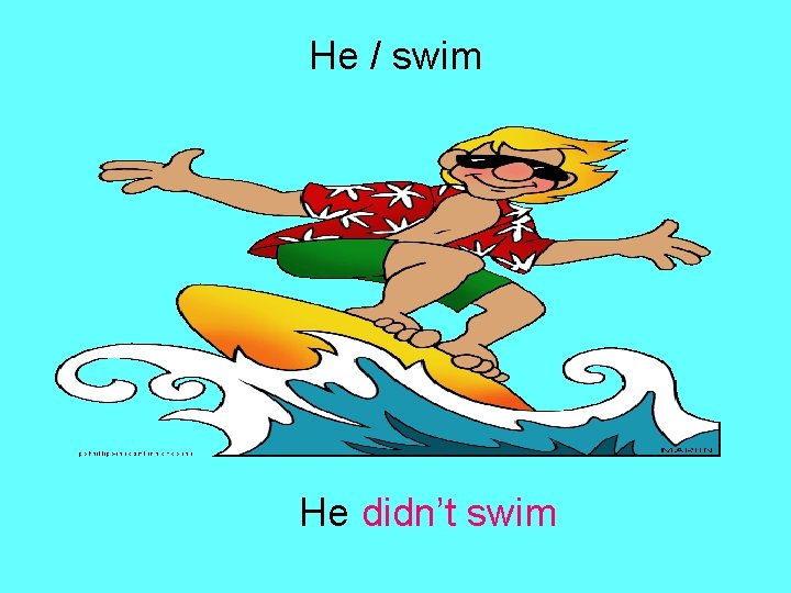 He / swim He didn’t swim 