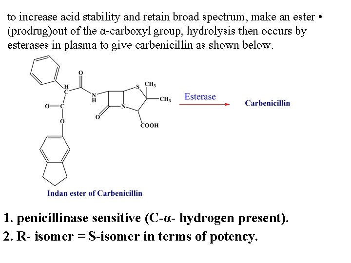 to increase acid stability and retain broad spectrum, make an ester • (prodrug)out of