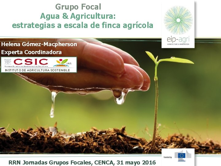 Grupo Focal Agua & Agricultura: estrategias a escala de finca agrícola Helena Gómez-Macpherson Experta