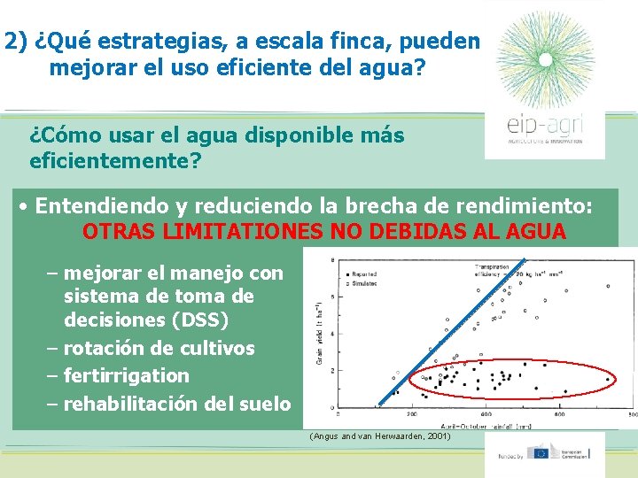 2) ¿Qué estrategias, a escala finca, pueden mejorar el uso eficiente del agua? ¿Cómo