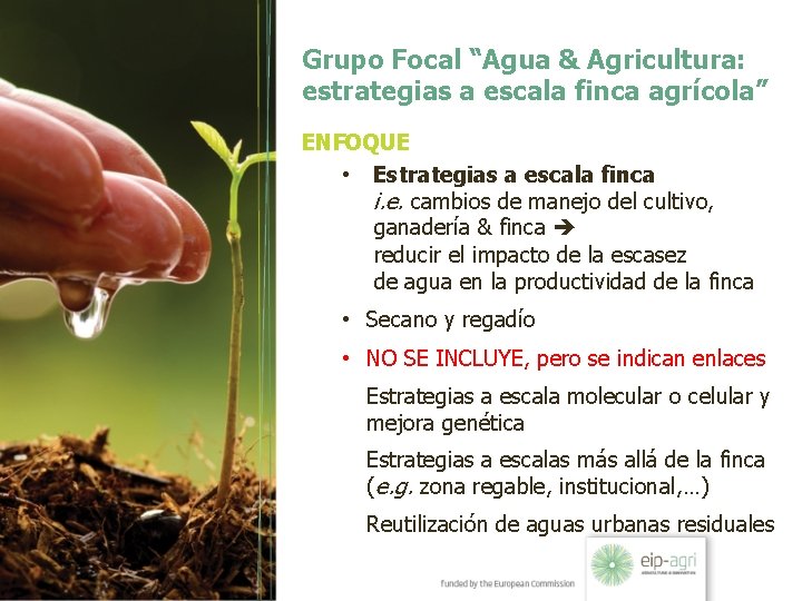 Grupo Focal “Agua & Agricultura: estrategias a escala finca agrícola” ENFOQUE • Estrategias a