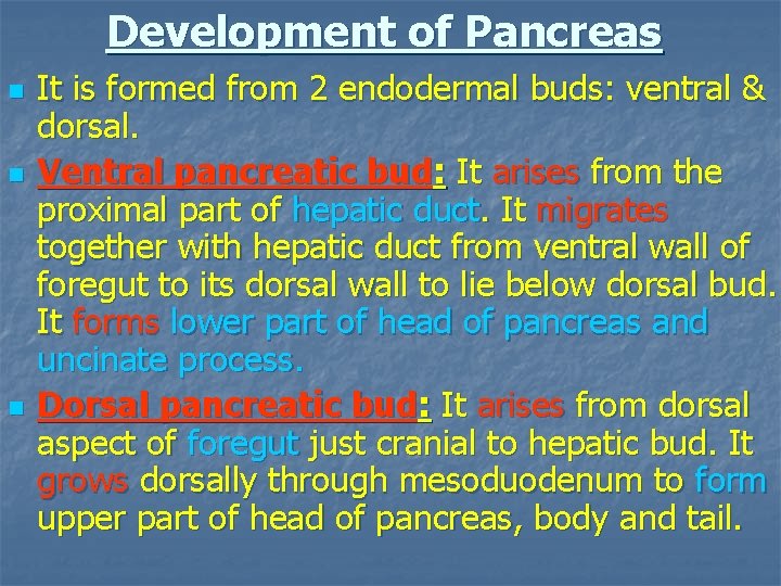 Development of Pancreas n n n It is formed from 2 endodermal buds: ventral