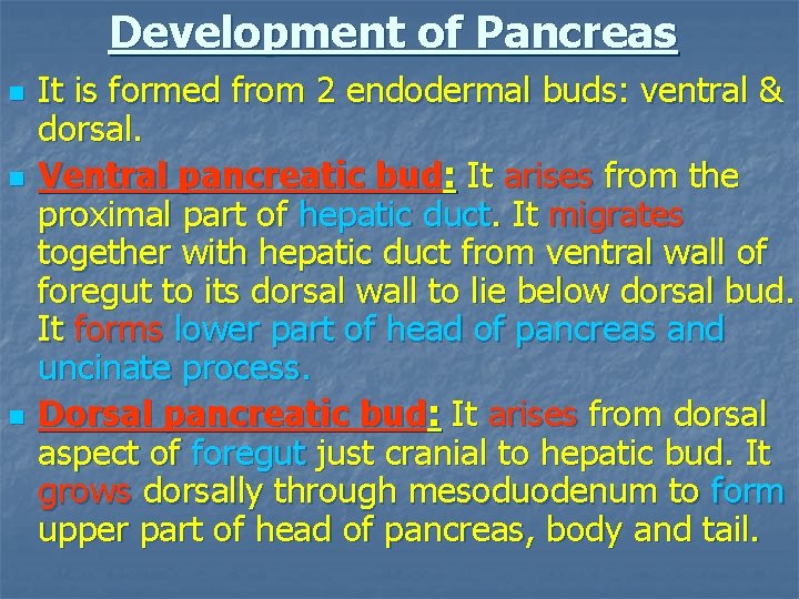 Development of Pancreas n n n It is formed from 2 endodermal buds: ventral