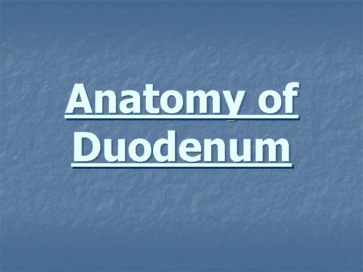 Anatomy of Duodenum 