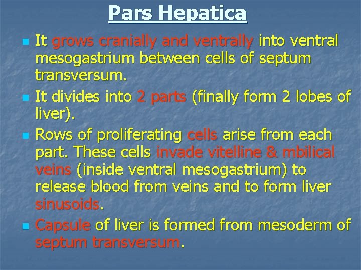 Pars Hepatica n n It grows cranially and ventrally into ventral mesogastrium between cells