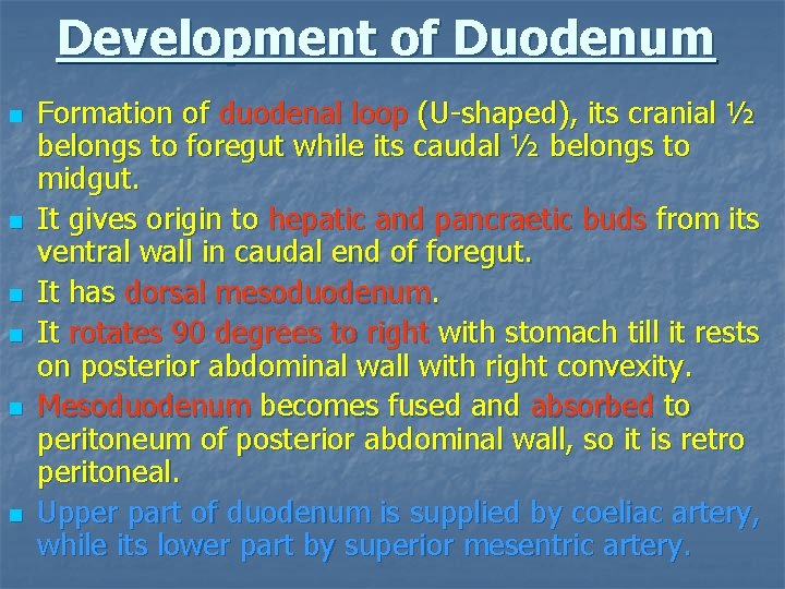 Development of Duodenum n n n Formation of duodenal loop (U-shaped), its cranial ½