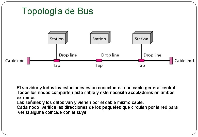 Topología de Bus El servidor y todas las estaciones están conectadas a un cable