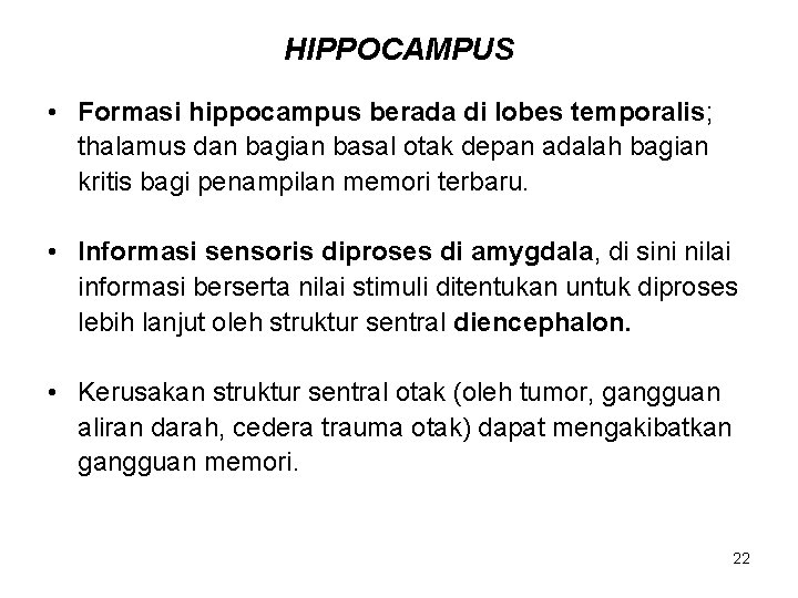 HIPPOCAMPUS • Formasi hippocampus berada di lobes temporalis; thalamus dan bagian basal otak depan