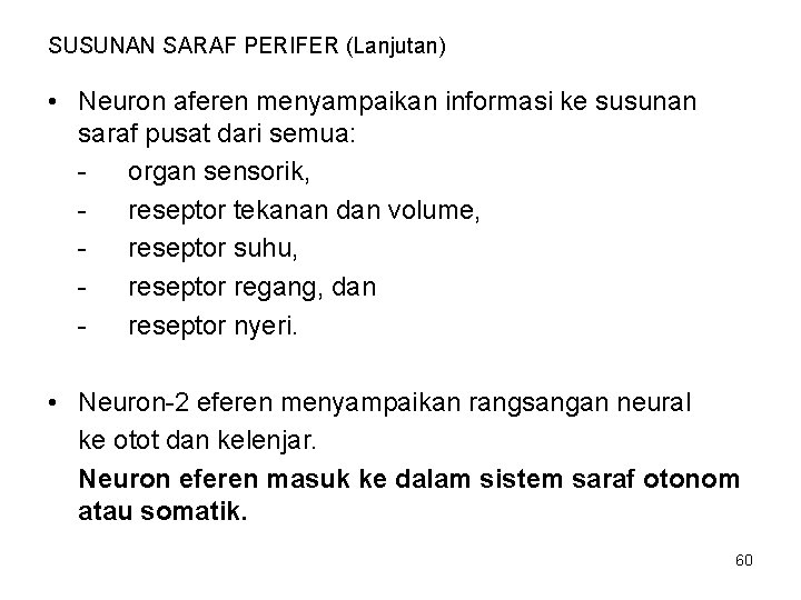 SUSUNAN SARAF PERIFER (Lanjutan) • Neuron aferen menyampaikan informasi ke susunan saraf pusat dari