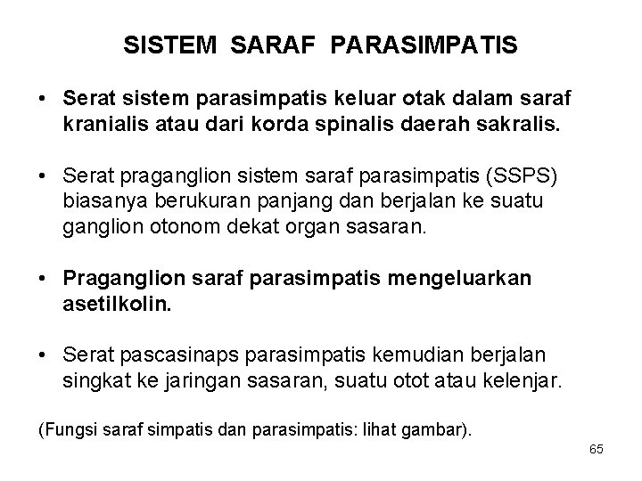 SISTEM SARAF PARASIMPATIS • Serat sistem parasimpatis keluar otak dalam saraf kranialis atau dari