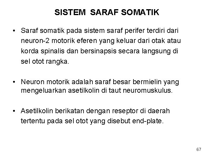 SISTEM SARAF SOMATIK • Saraf somatik pada sistem saraf perifer terdiri dari neuron-2 motorik