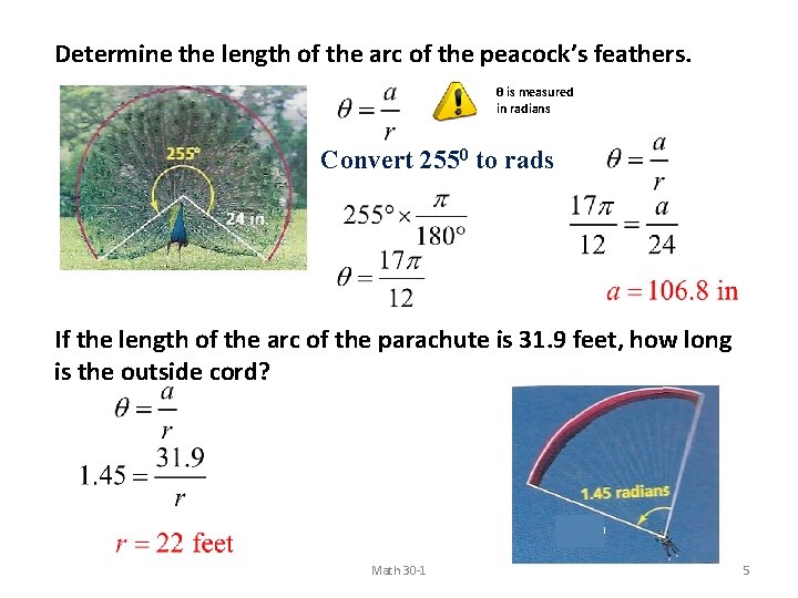 Determine the length of the arc of the peacock’s feathers. θ is measured in