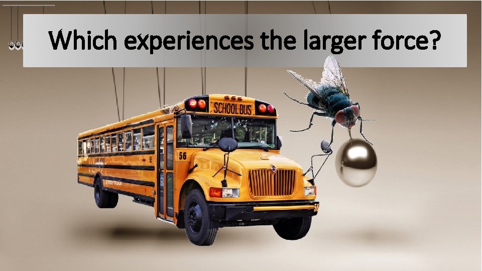 Which experiences the larger force? 