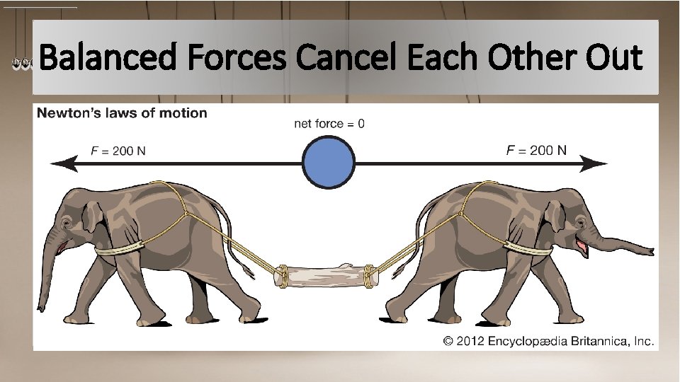 Balanced Forces Cancel Each Other Out 
