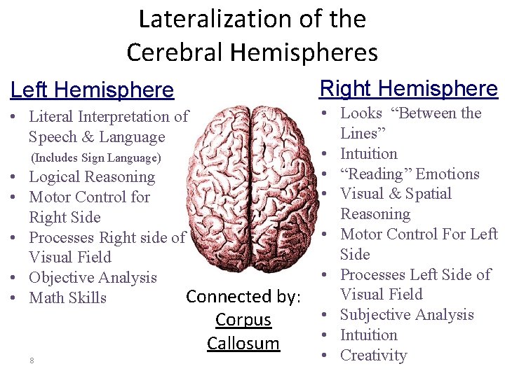 Lateralization of the Cerebral Hemispheres Left Hemisphere Right Hemisphere • Literal Interpretation of Speech