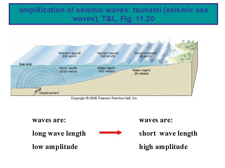 amplification of seismic waves: tsunami (seismic sea waves), T&L, Fig. 11. 20 waves are: