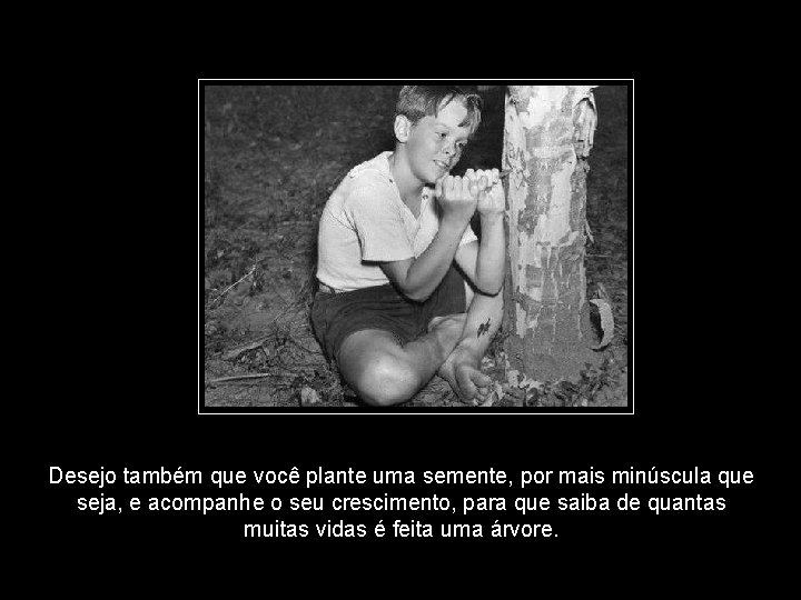 Desejo também que você plante uma semente, por mais minúscula que seja, e acompanhe