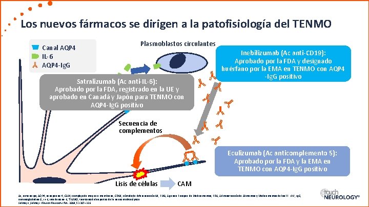 Los nuevos fármacos se dirigen a la patofisiología del TENMO Canal AQP 4 IL-6