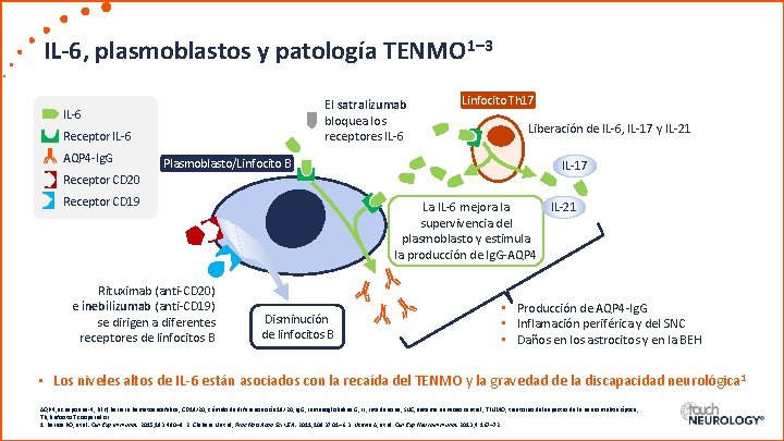 IL-6, plasmoblastos y patología TENMO 1– 3 El satralizumab bloquea los receptores IL-6 Receptor