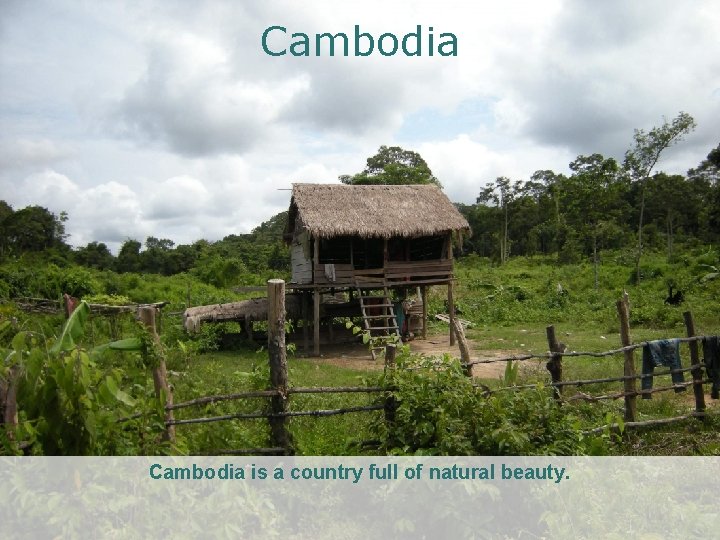 Cambodia is a country full of natural beauty. 