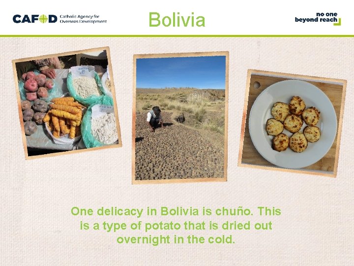 Bolivia One delicacy in Bolivia is chuño. This is a type of potato that