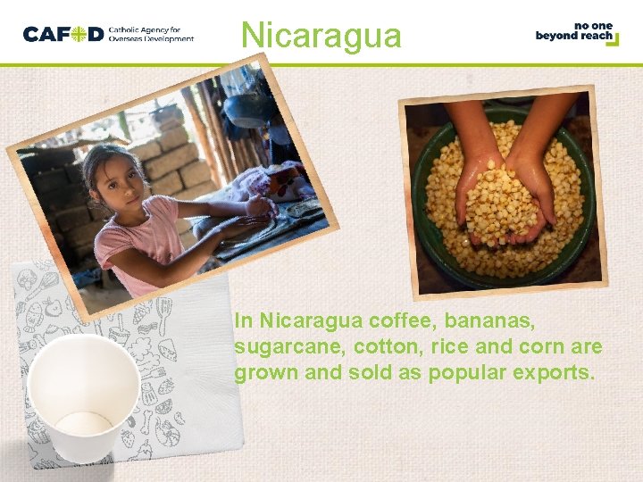 Nicaragua In Nicaragua coffee, bananas, sugarcane, cotton, rice and corn are grown and sold