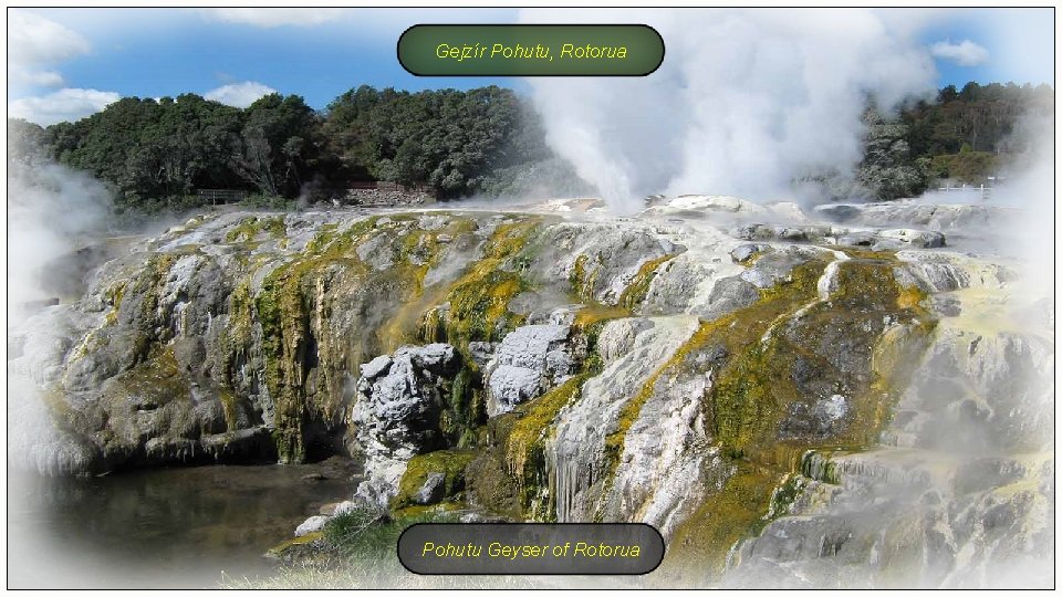 Gejzír Pohutu, Rotorua Pohutu Geyser of Rotorua 