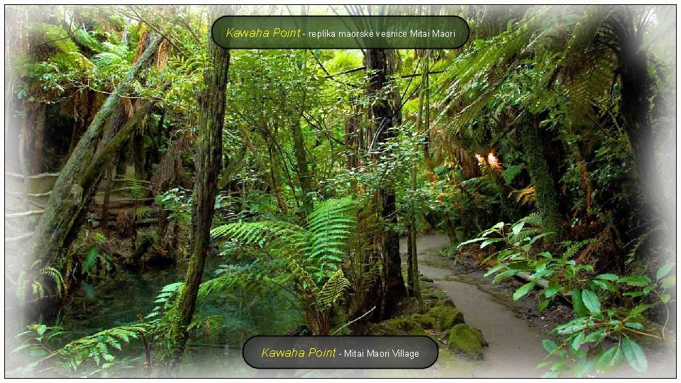 Kawaha Point - replika maorské vesnice Mitai Maori Kawaha Point - Mitai Maori Village