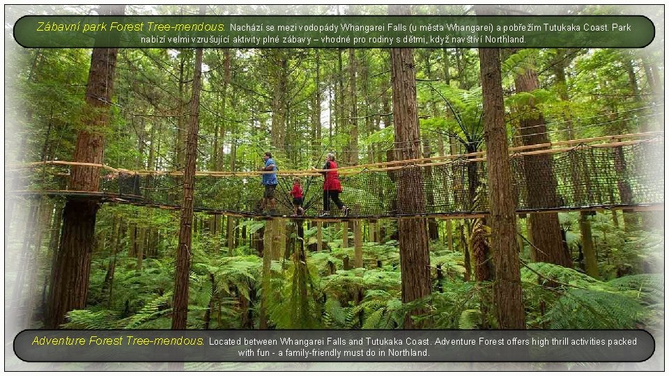 Zábavní park Forest Tree-mendous. Nachází se mezi vodopády Whangarei Falls (u města Whangarei) a