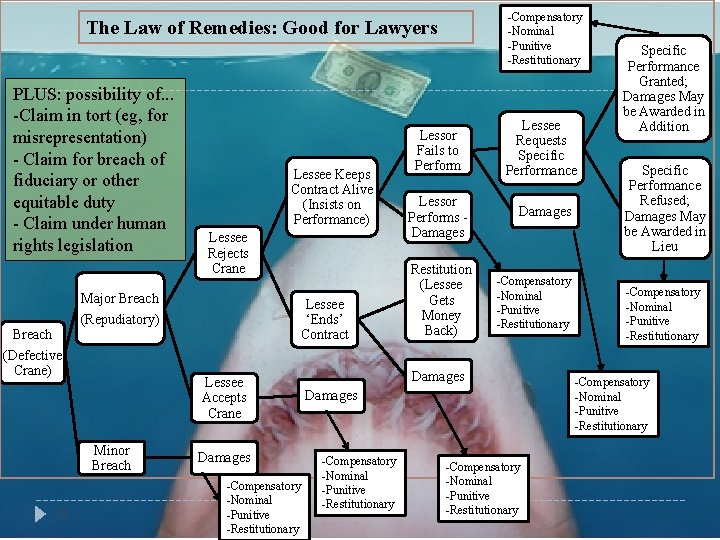 -Compensatory -Nominal -Punitive -Restitutionary The Law of Remedies: Good for Lawyers PLUS: possibility of.