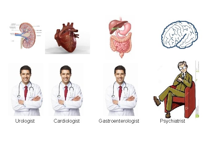 Urologist Cardiologist Gastroenterologist Psychiatrist 