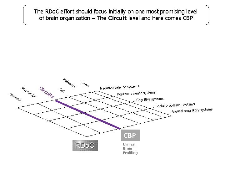 The RDo. C effort should focus initially on one most promising level of brain
