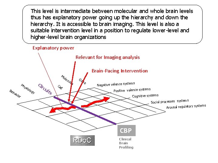 This level is intermediate between molecular and whole brain levels thus has explanatory power