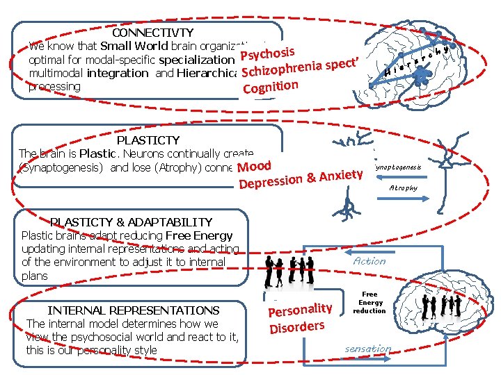 CONNECTIVTY We know that Small World brain organization is Psychosis optimal for modal-specific specialization