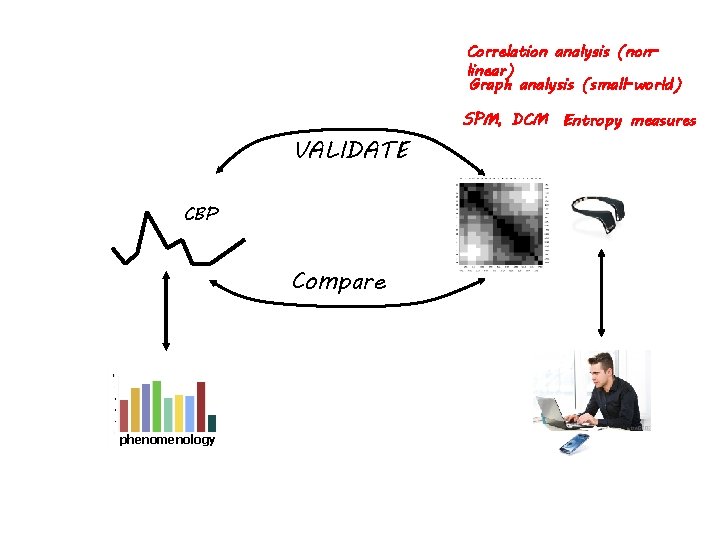 Correlation analysis (nonlinear) Graph analysis (small-world) VALIDATE CBP Compare phenomenology SPM, DCM Entropy measures