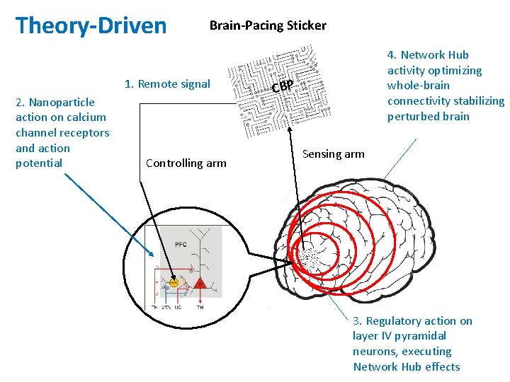 Theory-Driven Brain-Pacing Sticker 1. Remote signal 2. Nanoparticle action on calcium channel receptors and