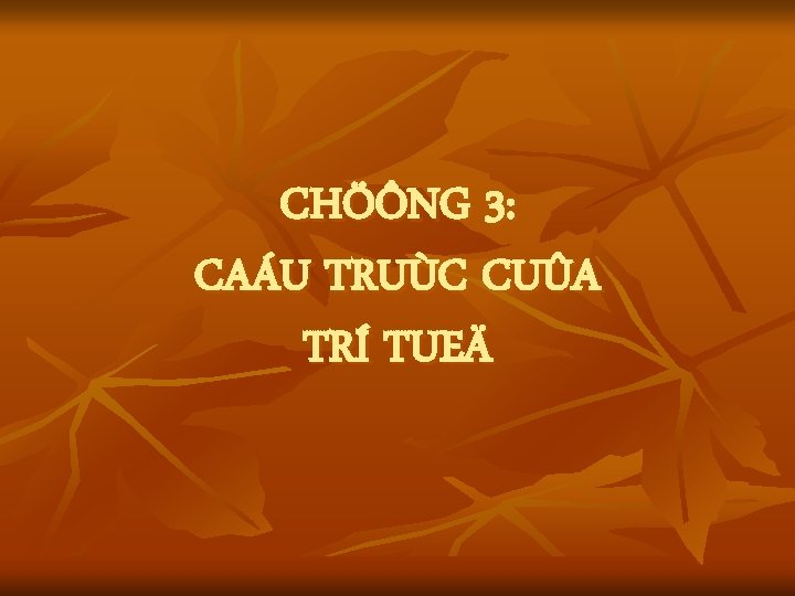 CHÖÔNG 3: CAÁU TRUÙC CUÛA TRÍ TUEÄ 