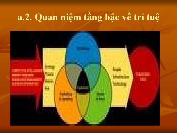 a. 2. Quan niệm tầng bậc về trí tuệ 