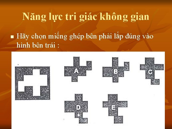 Năng lực tri giác không gian n Hãy chọn miếng ghép bên phải lắp