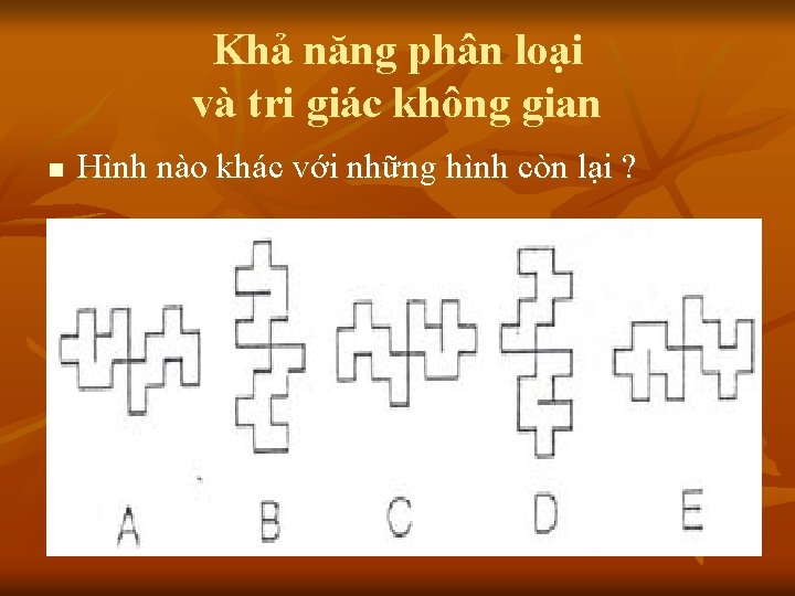 Khả năng phân loại và tri giác không gian n Hình nào khác với