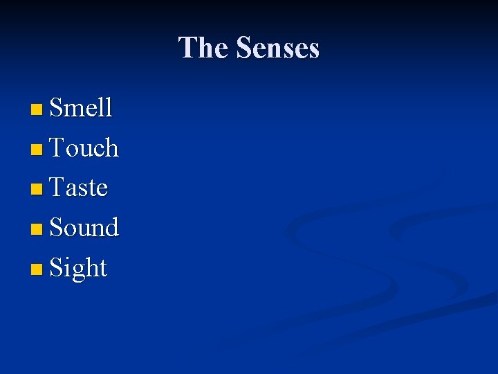 The Senses n Smell n Touch n Taste n Sound n Sight 