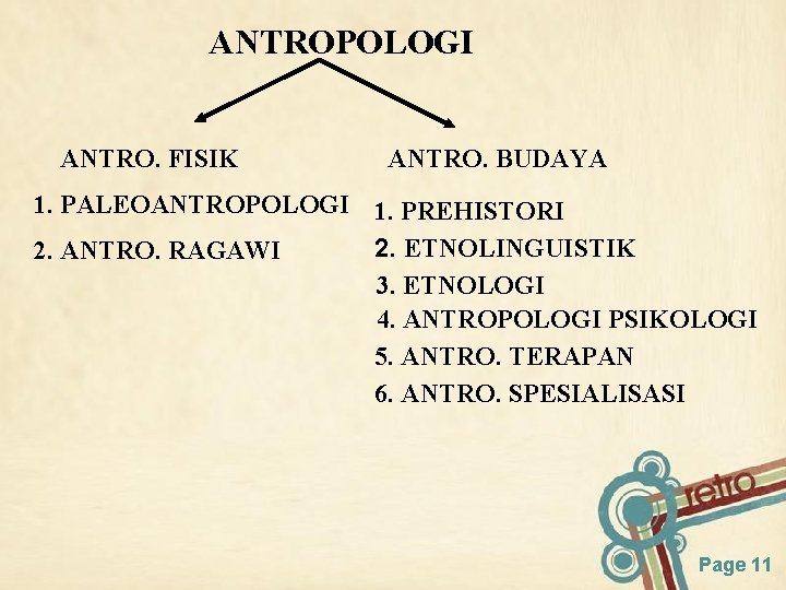 ANTROPOLOGI ANTRO. FISIK ANTRO. BUDAYA 1. PALEOANTROPOLOGI 1. PREHISTORI 2. ETNOLINGUISTIK 2. ANTRO. RAGAWI