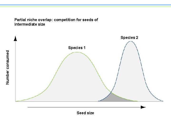 Partial niche overlap: competition for seeds of intermediate size Species 2 Number consumed Species