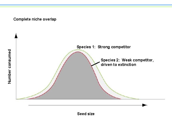 Complete niche overlap Number consumed Species 1: Strong competitor Species 2: Weak competitor, driven