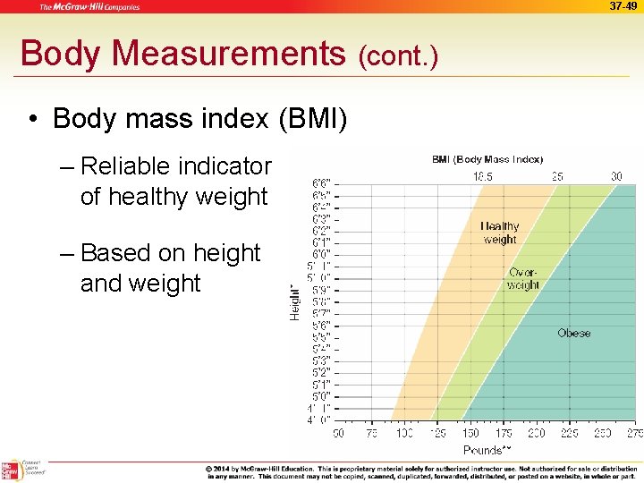 37 -49 Body Measurements (cont. ) • Body mass index (BMI) – Reliable indicator